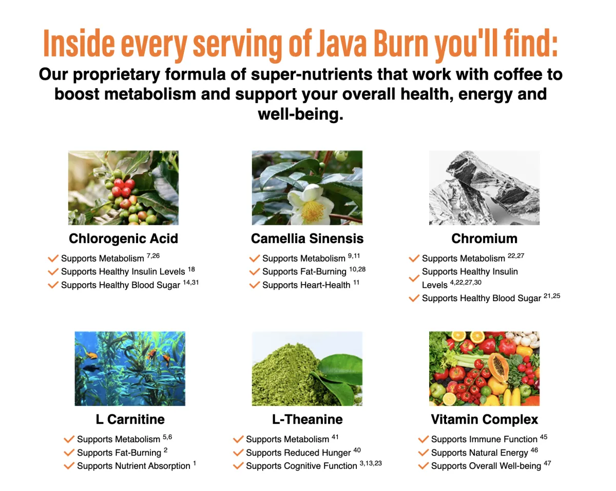 java burn ingredients